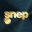 snepmusique.com icon