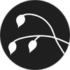 snooktheatre.com icon