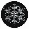 snowflakebentley.com logo