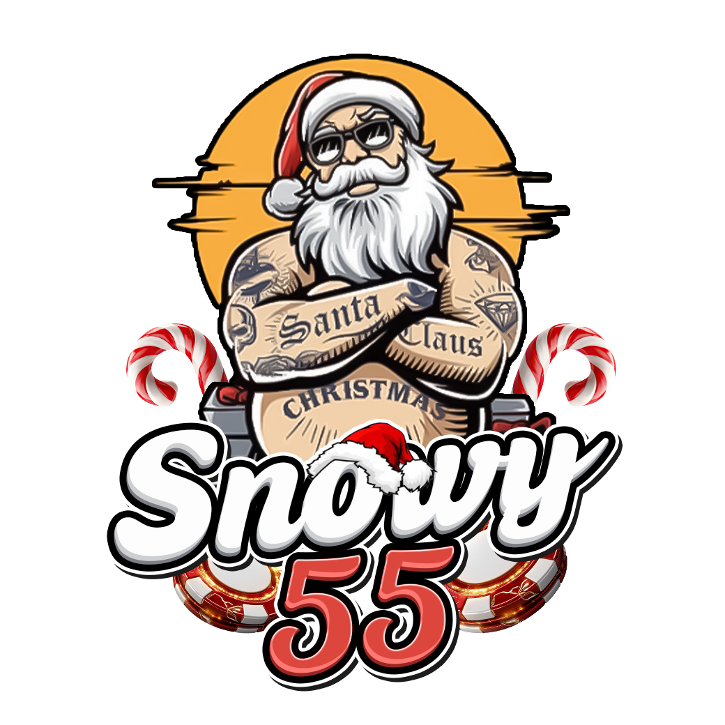snowy55.net icon