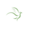 soaringfamilies.com icon