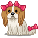 sobakovod.club icon