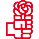 socialistasvizcainos.com icon