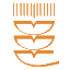 sodr.pl icon
