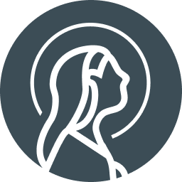 soeursapostoliquesdesaintjean.com icon