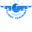 sofiaflighttraining.com icon