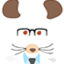 softmousetraining.com icon