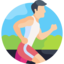 softsshub.com icon