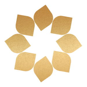 Solaris Senior Living logo