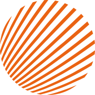 solfinity.pl icon