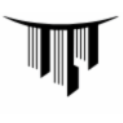 soliddiceflow.nl icon