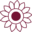 solsticedesign.ca icon