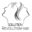 solutioncapillaire.com icon