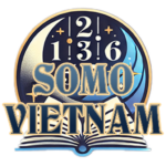 somovietnam.net icon