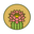 sonoranbloom.com icon