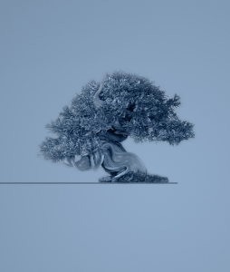 soolut.com icon