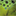 sophiatintori.com icon