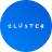 soucluster.com.br icon