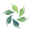 soutenirlecologie.fr icon