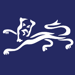 southern-football-league.co.uk icon