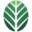 southernbotanical.com icon