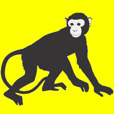 southshoreguttermonkeys.com icon
