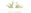 southwestgreens.com icon