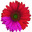 spa-kit.net icon
