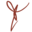 spac.org logo