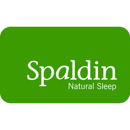 spaldin.com icon