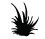 sparkicreative.com icon