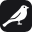 sparrow