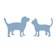 spaysecure.com icon