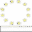 spe.edu.pl icon