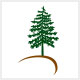 spearehospital.com icon