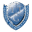 special-needs-family.com icon