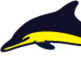 speedbootevents.com icon