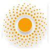Speed Solar, Inc. logo
