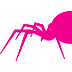 spider-slacklines.com icon