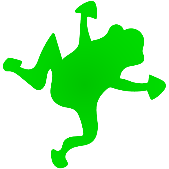spiderfrog.ch icon