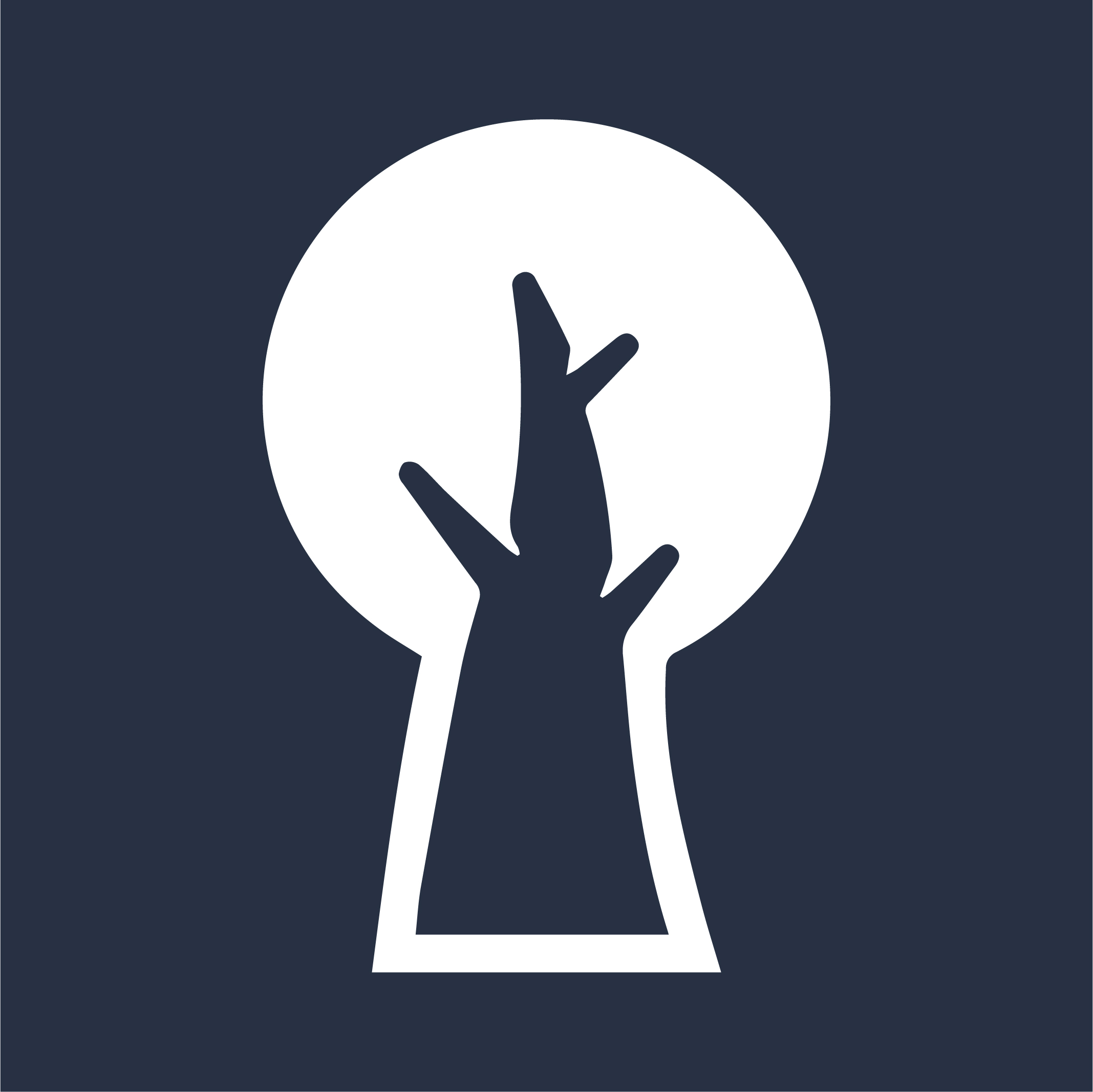 spideroak.support icon