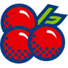 spielbanken-mv.de icon