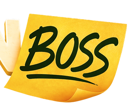 spinboss.nz icon