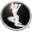 spinchix.com icon