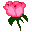 spinozaetnous.org icon