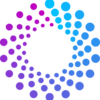 spinsight.com icon