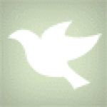 spirituallyunequalmarriage.com icon