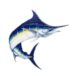 sportfishingbluemarlin.com icon