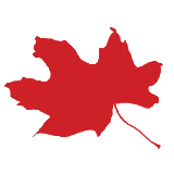 sportforlife.ca icon