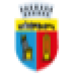 sportinclujnapoca.ro icon